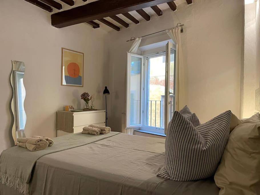 Casa Storica Nel Cuore Di Pisa - Lungarno Exteriér fotografie